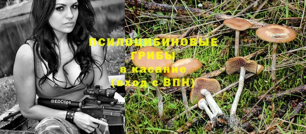 jwh Снежногорск