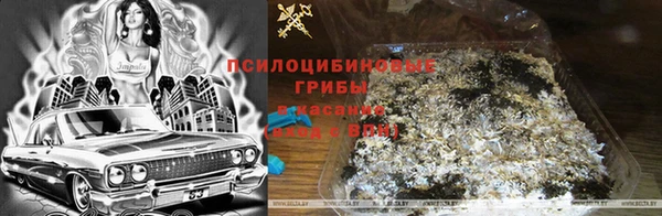 jwh Снежногорск